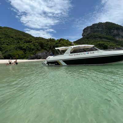 private speed boat for you samui 5